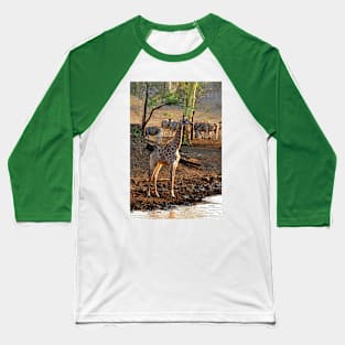 Giraffe Zulu Nyala Game Reserve South Africa Baseball T-Shirt